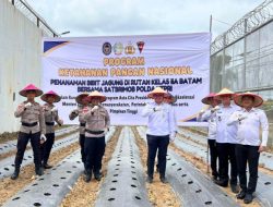 Dukung Ketahanan Pangan,Rutan Batam dan Satbrimob Polda Kepri Panen Sayur