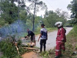 Polresta Barelang dan Polsek Nongsa Tetap Siaga di Tengah Libur Hari Kenaikan Isa Almasih, Evakuasi Pohon Tumbang Demi Kelancaran Lalu Lintas