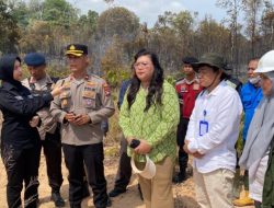 Tinjau Kebakaran Hutan, Ariastuty Imbau Masyarakat Waspadai Setiap Tindakan
