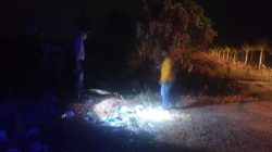 Respon Cepat Polsek Galang Tindak Lanjuti Laporan 110, Cek Lokasi Diduga Kebakaran Hutan Di Pantai Nirwana