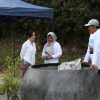 BP Batam Kecam Pengrusakan Tanaman Bugenvil, Ariastuty: “Tindakan Vandalisme Ini Ciderai Semangat Kolektif Program Penataan Kota”