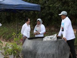 BP Batam Kecam Pengrusakan Tanaman Bugenvil, Ariastuty: “Tindakan Vandalisme Ini Ciderai Semangat Kolektif Program Penataan Kota”
