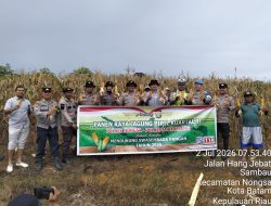 Polsek Nongsa Bersama Kelompok Tani Gelar Panen Raya Jagung Pipil di Lahan Ketahanan Pangan Polda Kepri
