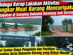 Pelabuhan di Samping Bakamla, Barelang Batam Jadi Sorotan. Legalitas Bongkar Muat Dipertanyakan,Aparat Di Minta Bertindak
